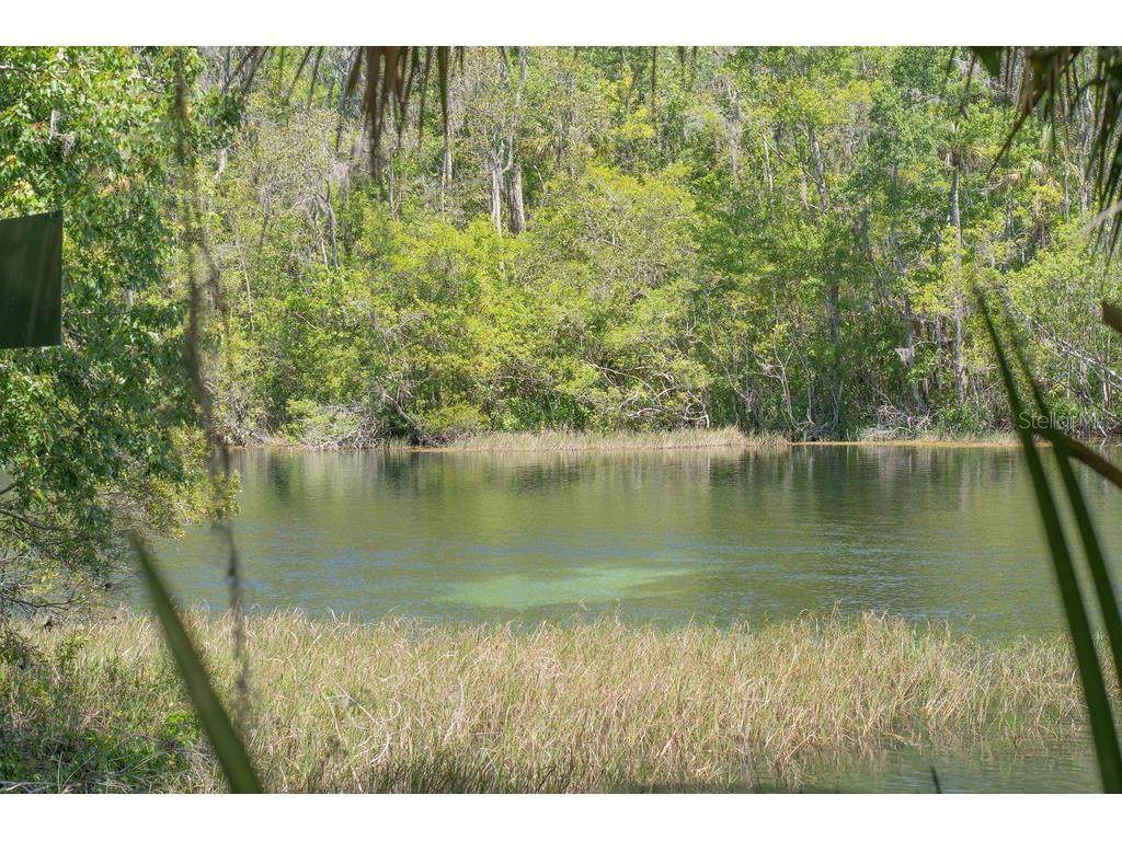 8519 SW 197th Court Road Dunnellon FL 34432 OM712558 image42