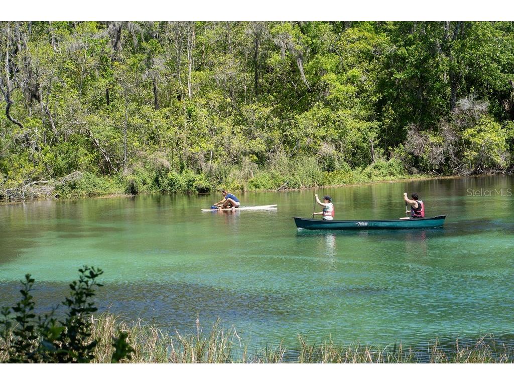 8519 SW 197th Court Road Dunnellon FL 34432 OM712558 image43