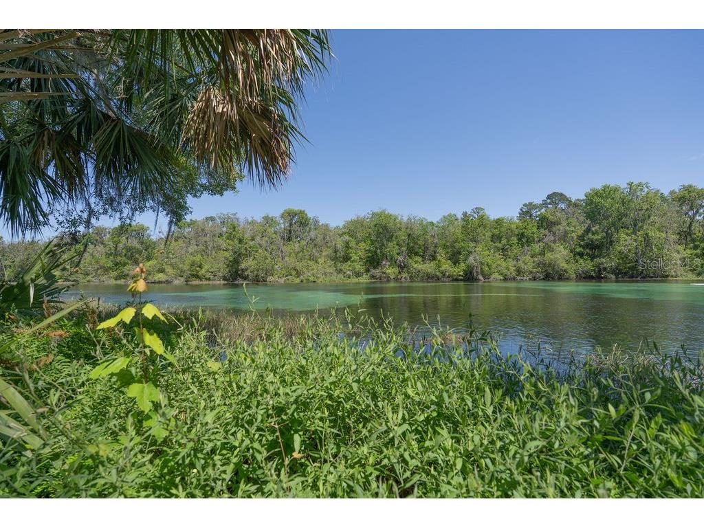 8519 SW 197th Court Road Dunnellon FL 34432 OM712558 image45