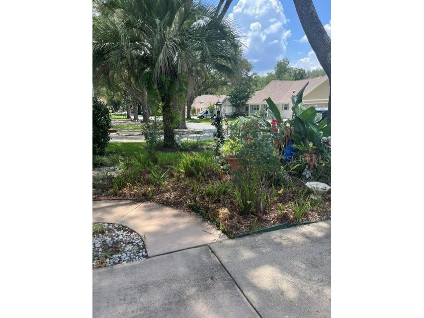 8519 SW 91st Street #B Ocala FL 34481 OM728188 image4