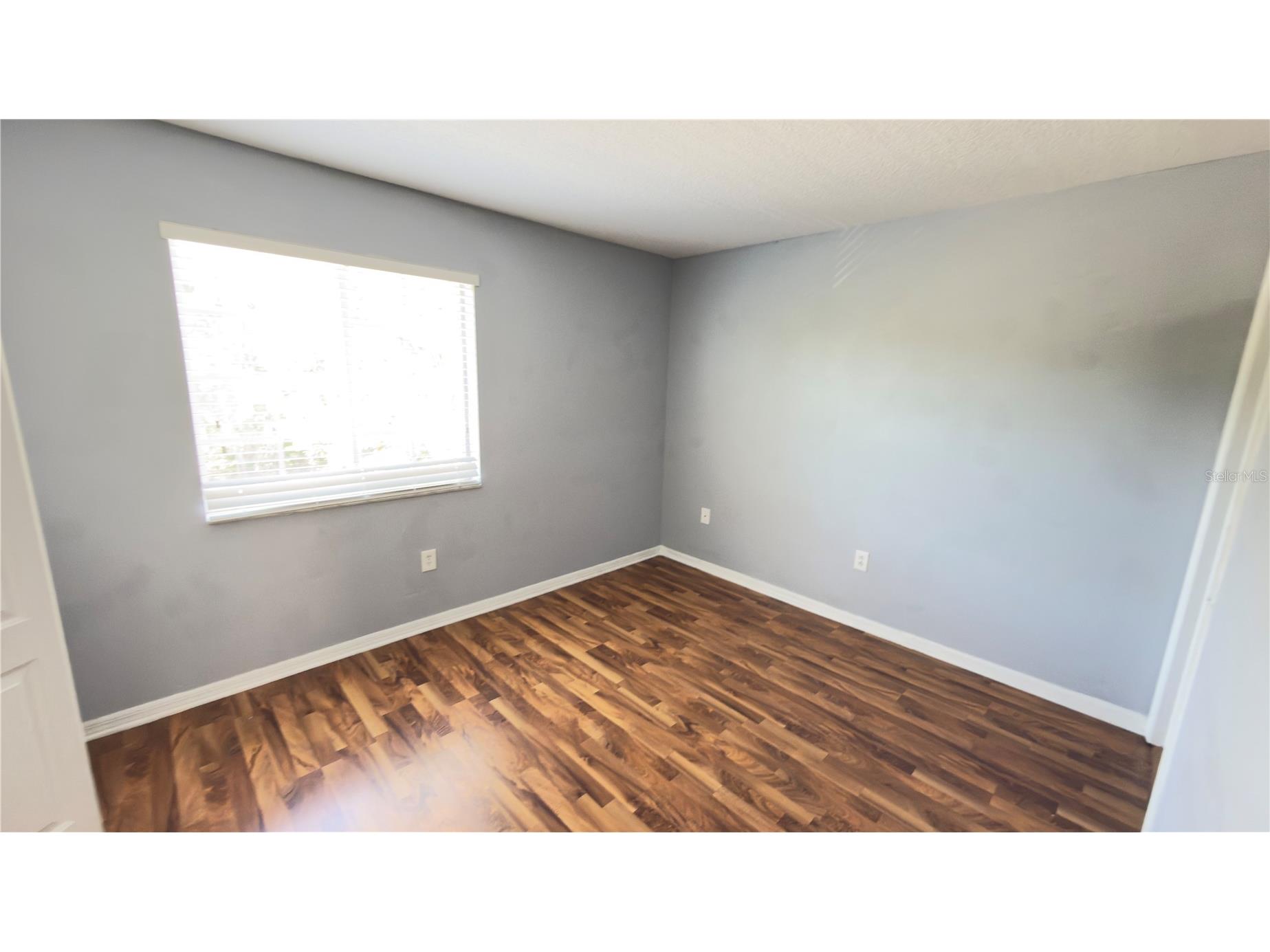 8519 Trail Wind Drive Tampa FL 33647 TB8506941 image16