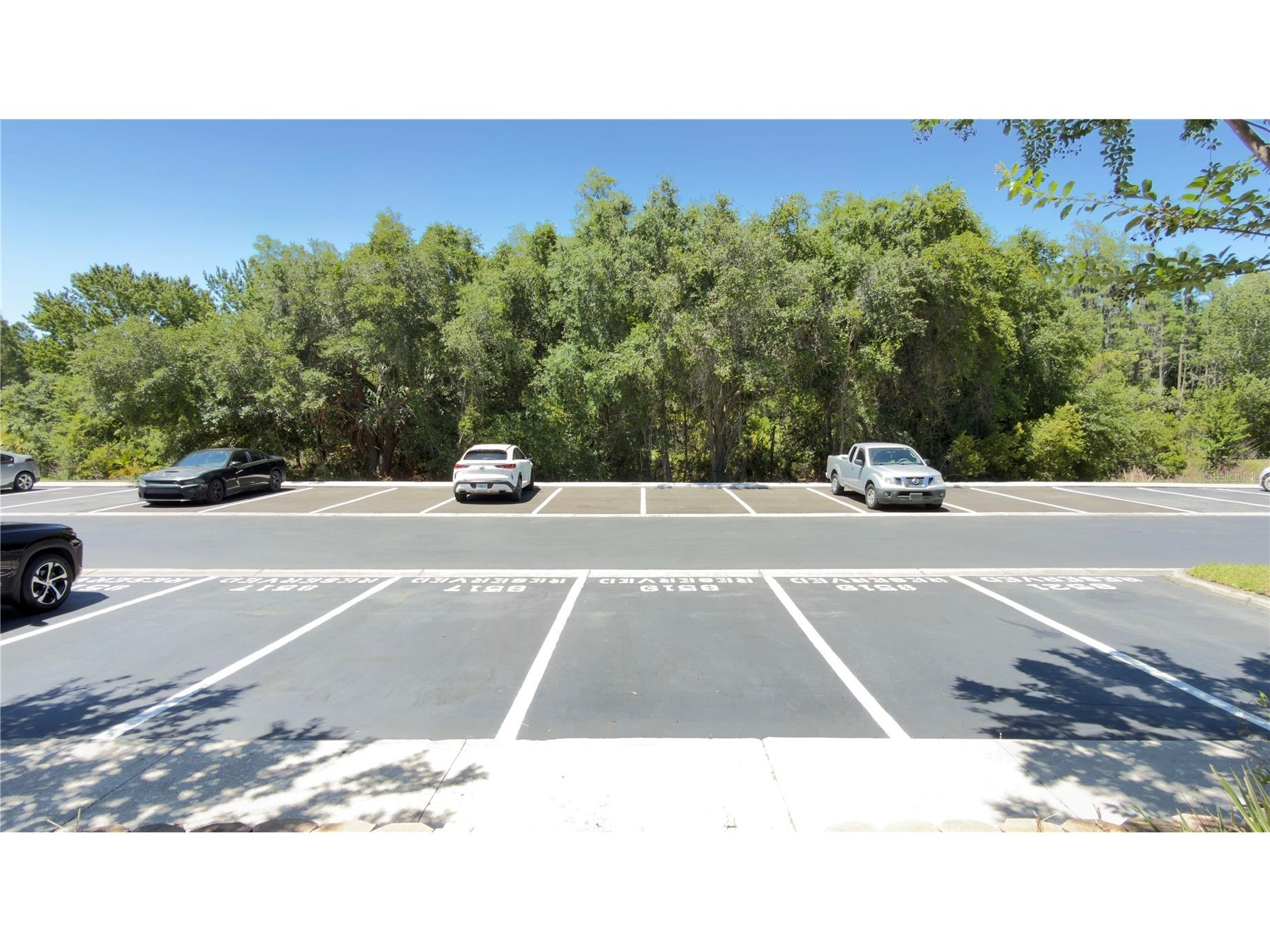 8519 Trail Wind Drive Tampa FL 33647 TB8506941 image5