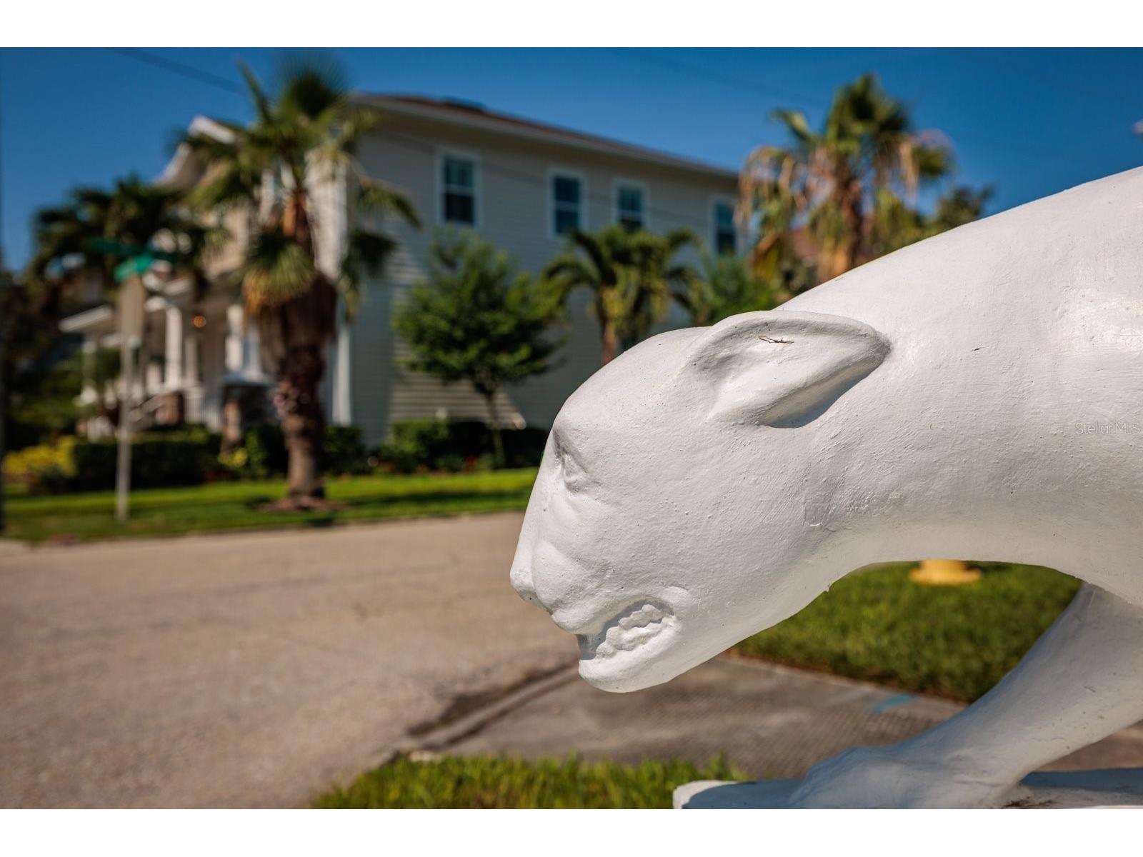 852 Cordova Boulevard NE Saint Petersburg FL 33704 TB8500574 image64