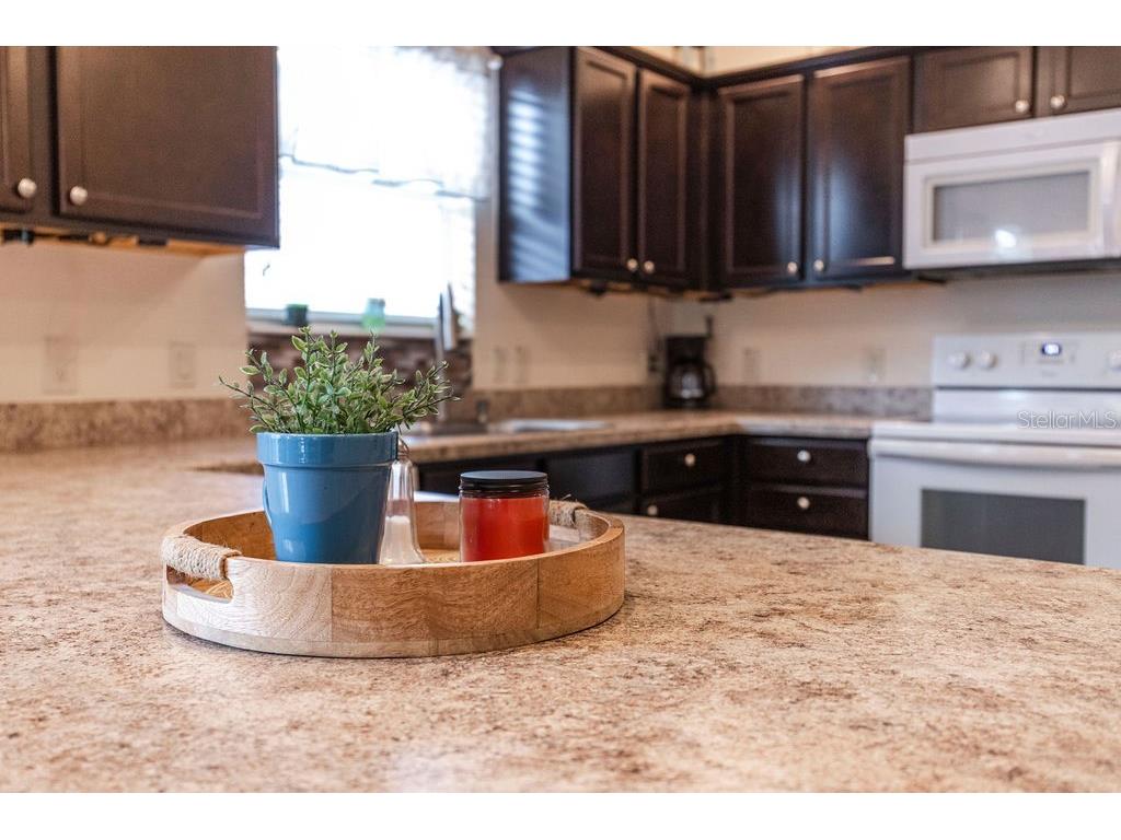 852 Sapphire Place The Villages FL 32163 G5102943 image8