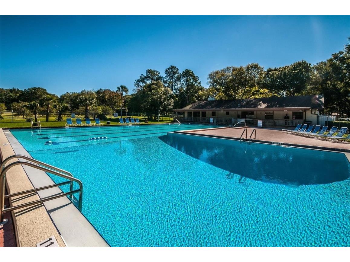 852 Village Way Palm Harbor FL 34683 TB8397088 image46