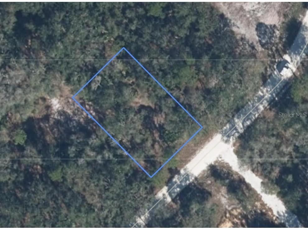 852 Violet Drive Lake Placid FL 33852 P4936264 image1