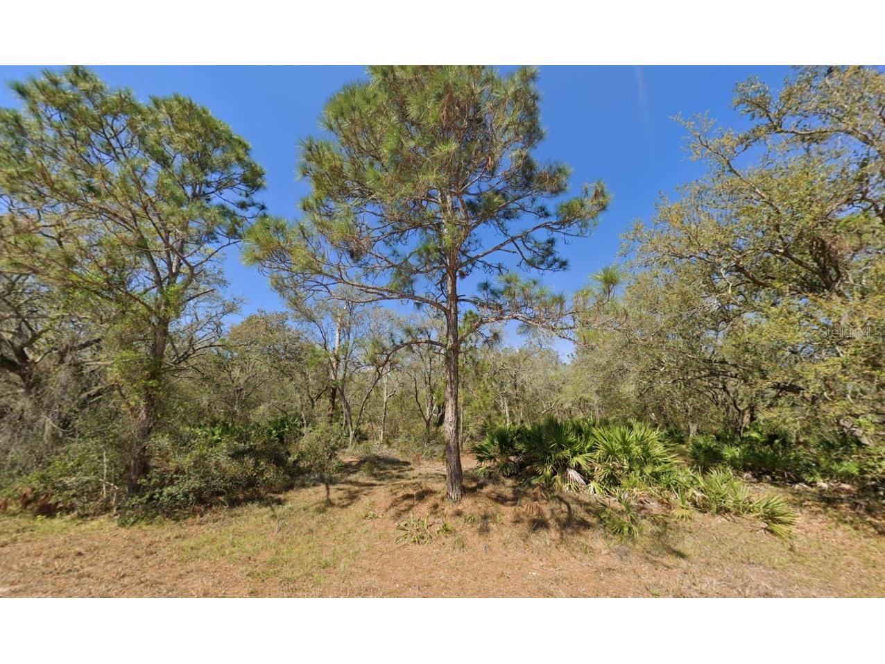 852 Violet Drive Lake Placid FL 33852 P4936264 image2