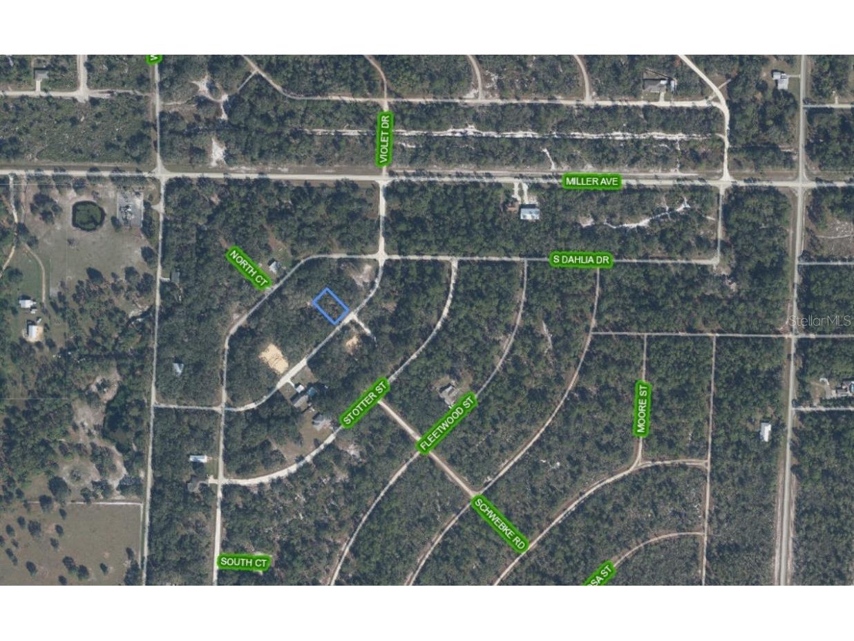 852 Violet Drive Lake Placid FL 33852 P4936264 image3