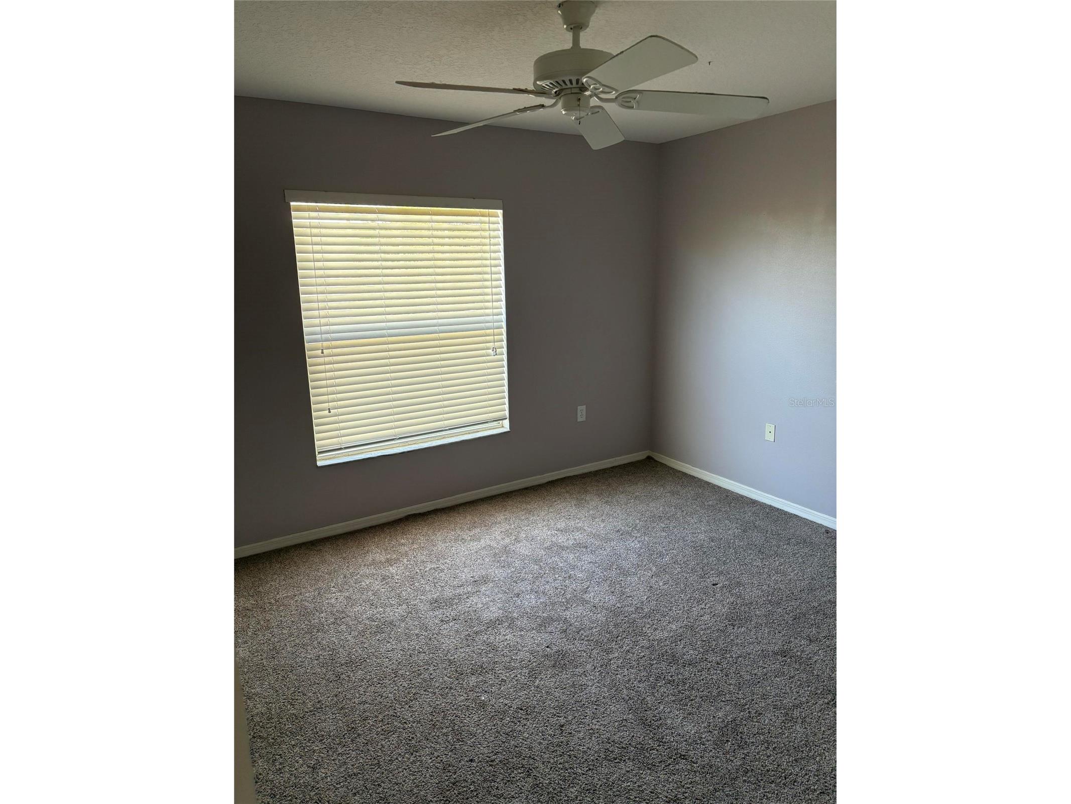 8520 Broken Willow Court Tampa FL 33647 O6393218 image15