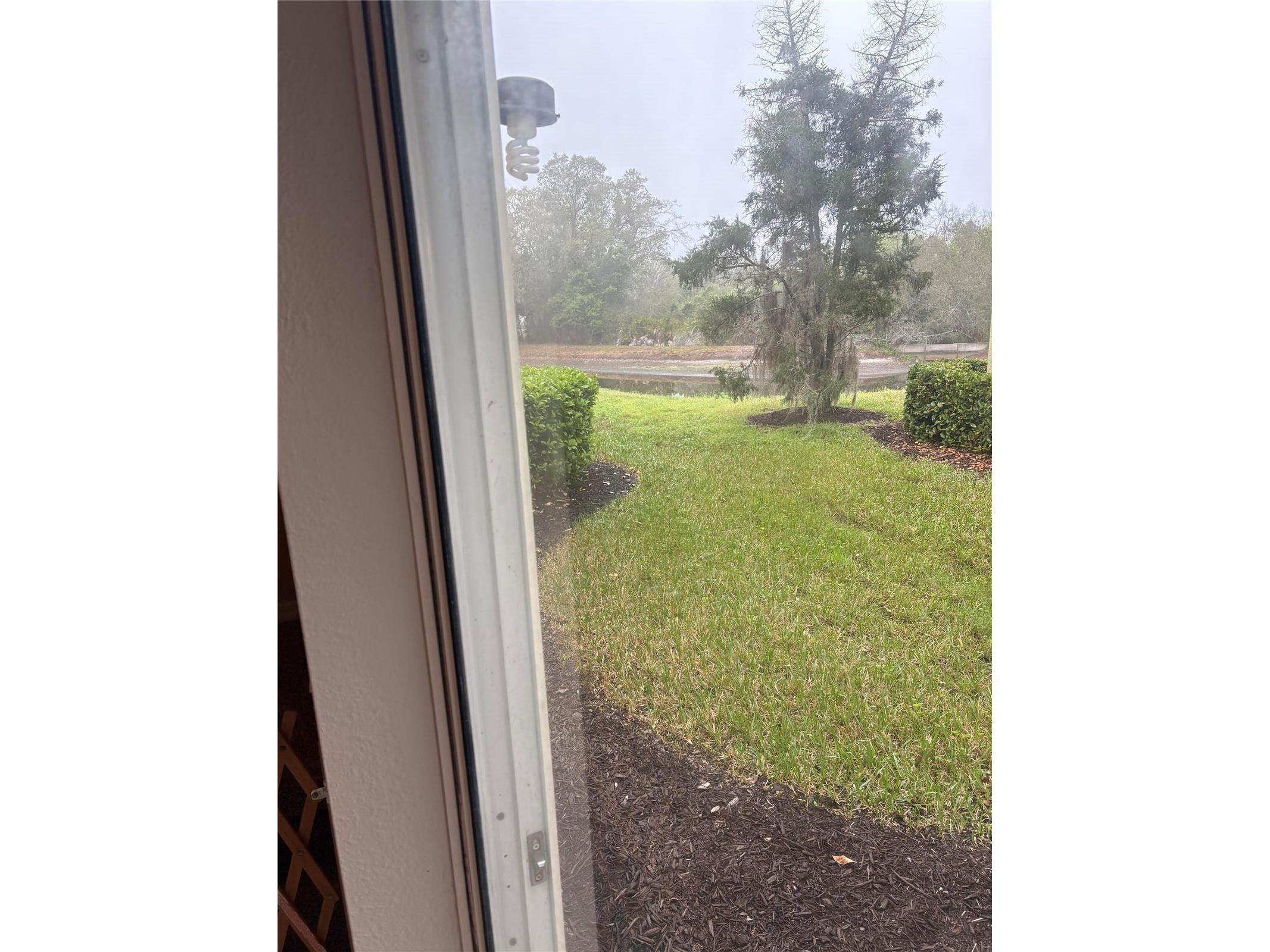 8520 Broken Willow Court Tampa FL 33647 O6393218 image17