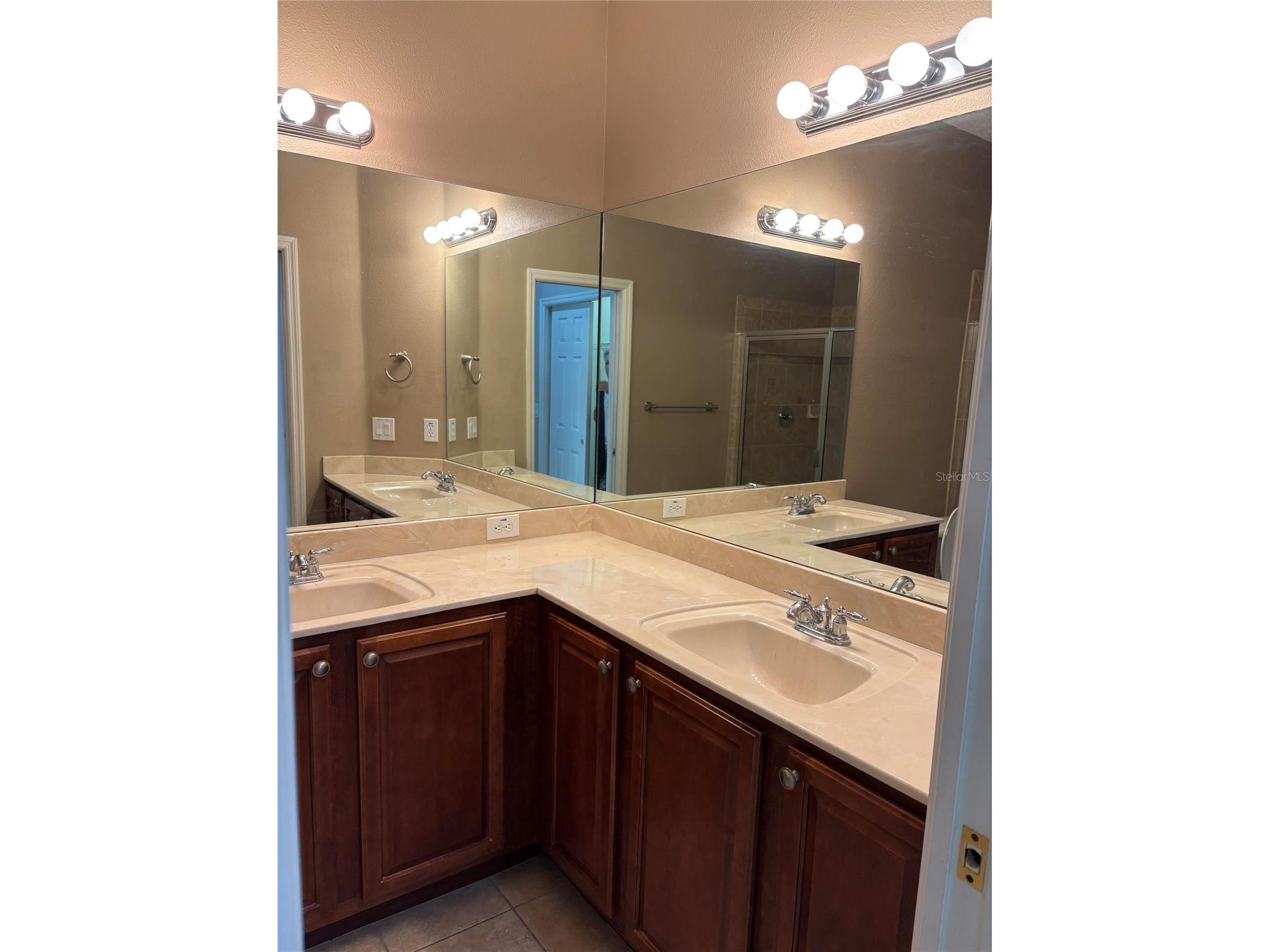 8520 Broken Willow Court Tampa FL 33647 O6393218 image9