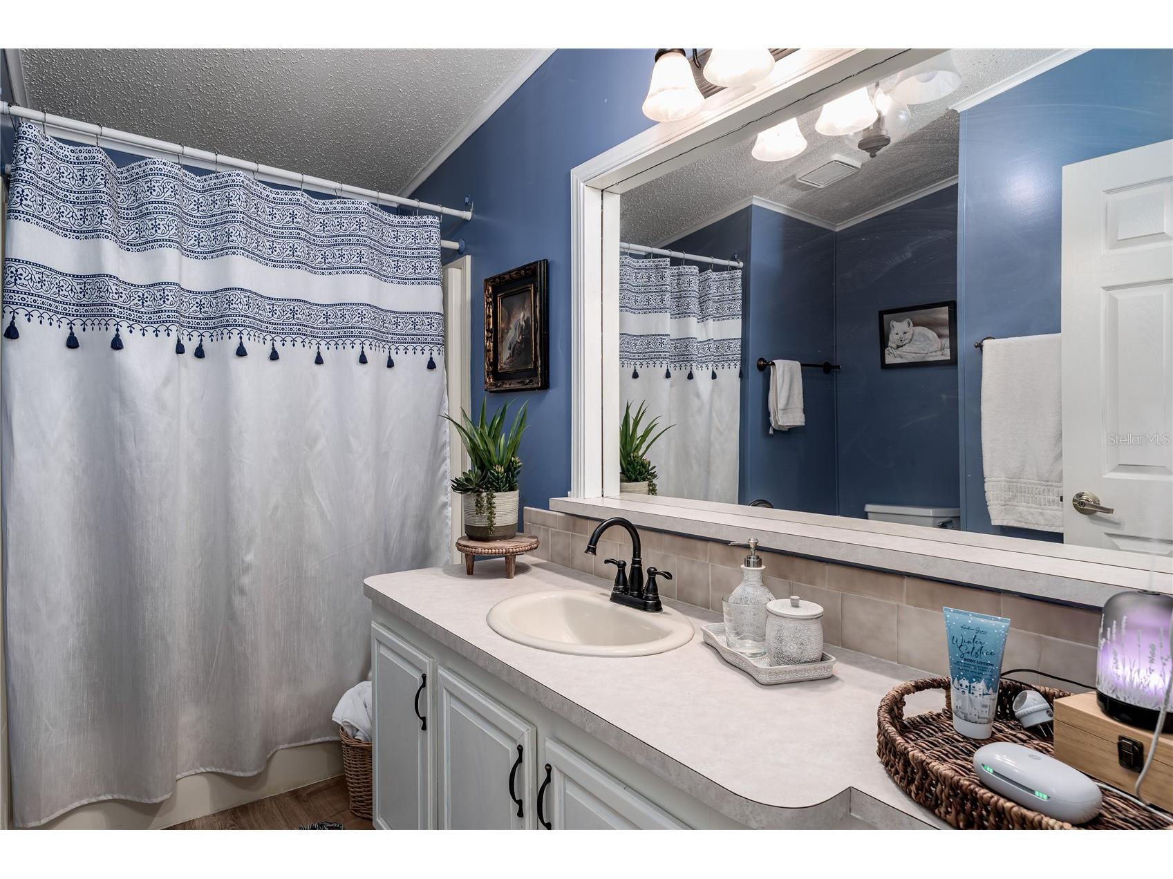 8520 Countess Avenue Circle Palmetto FL 34221 A4689650 image19