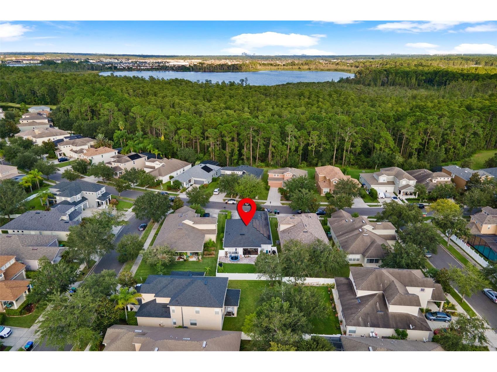 8520 Greenbank Boulevard Windermere FL 34786 O6396741 image4