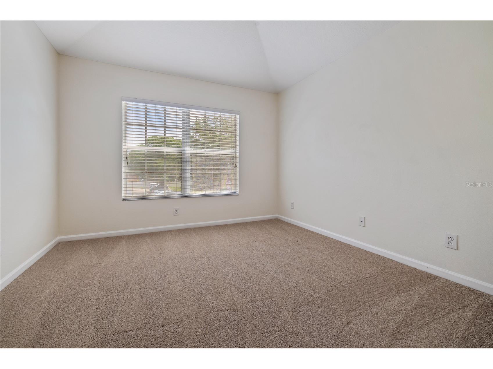 8520 Sandy Beach Street Tampa FL 33634 TB8497794 image15