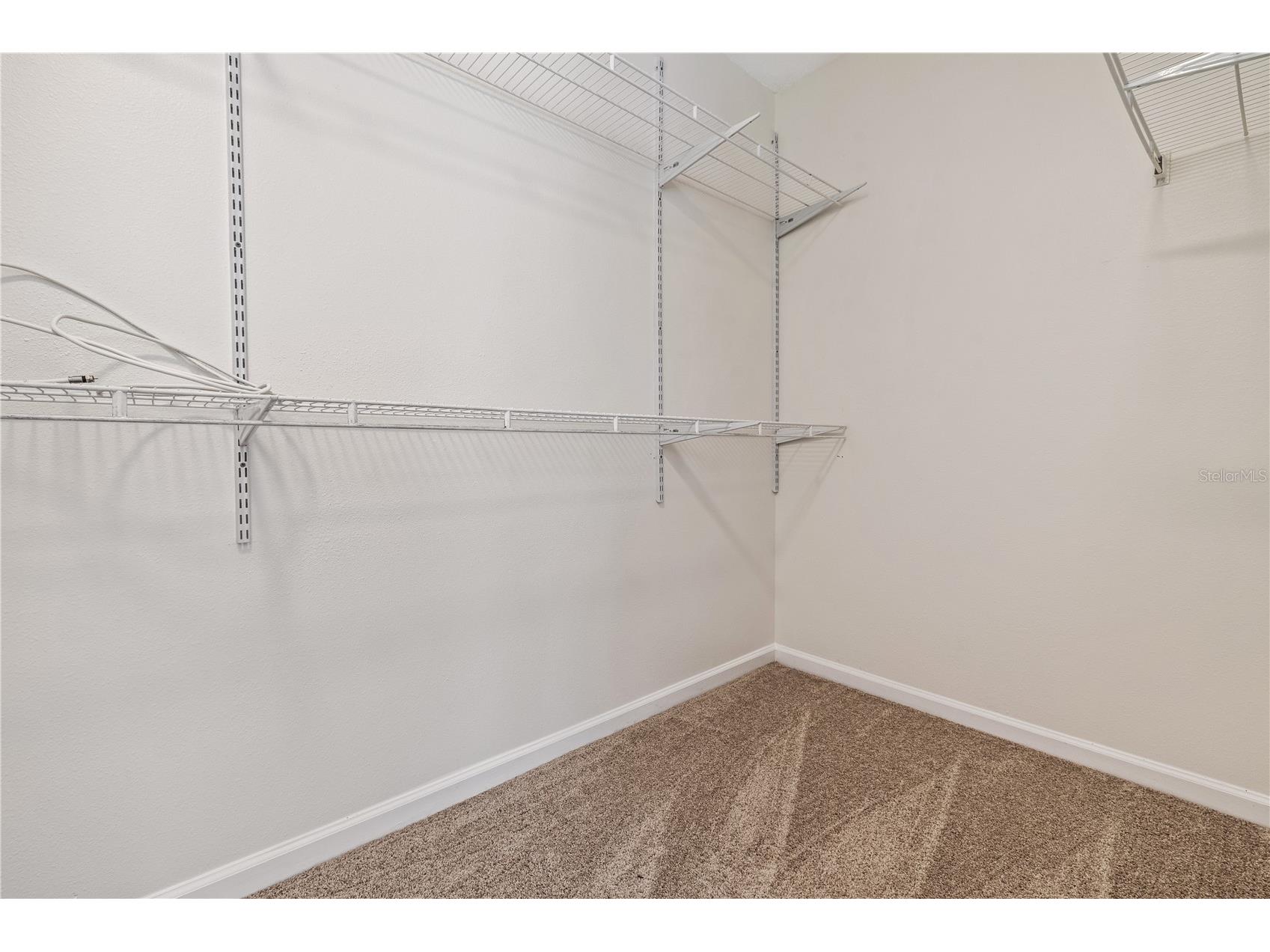 8520 Sandy Beach Street Tampa FL 33634 TB8497794 image20
