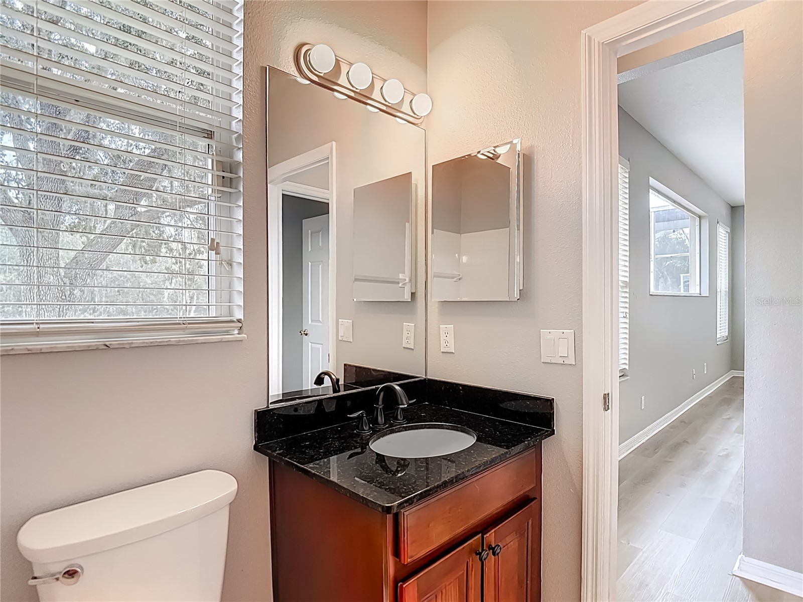 8521 Bramwell Way Tampa FL 33647 TB8460834 image42