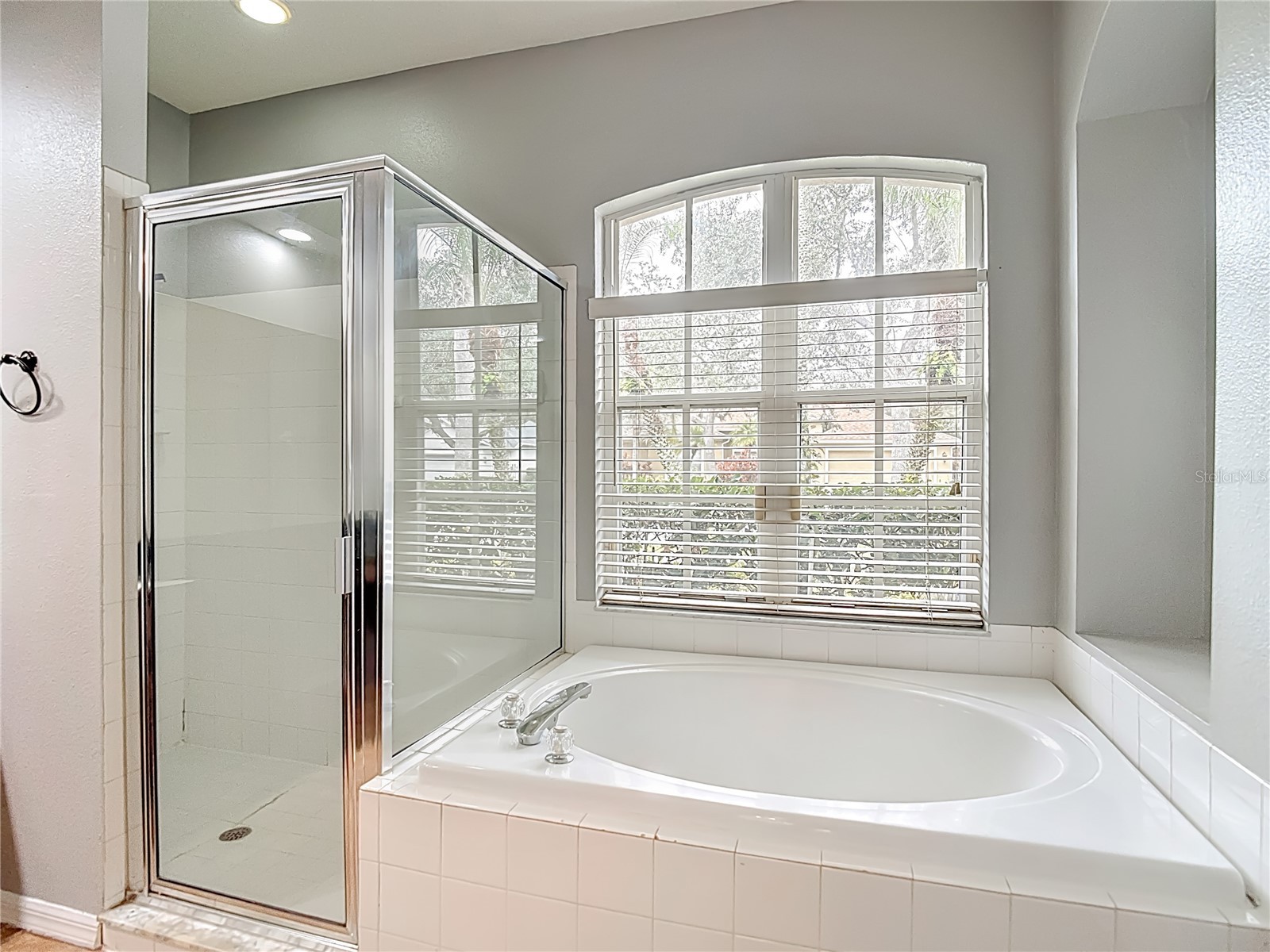 8521 Bramwell Way Tampa FL 33647 TB8460834 image50