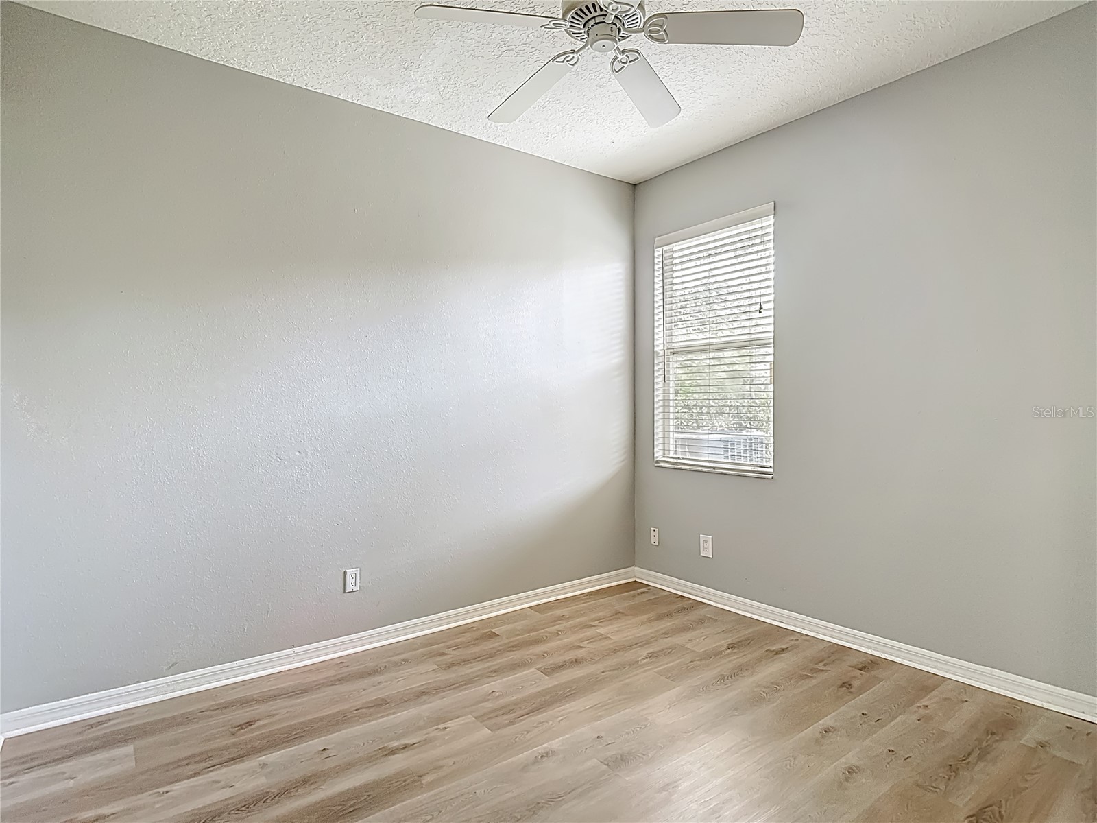 8521 Bramwell Way Tampa FL 33647 TB8460834 image60