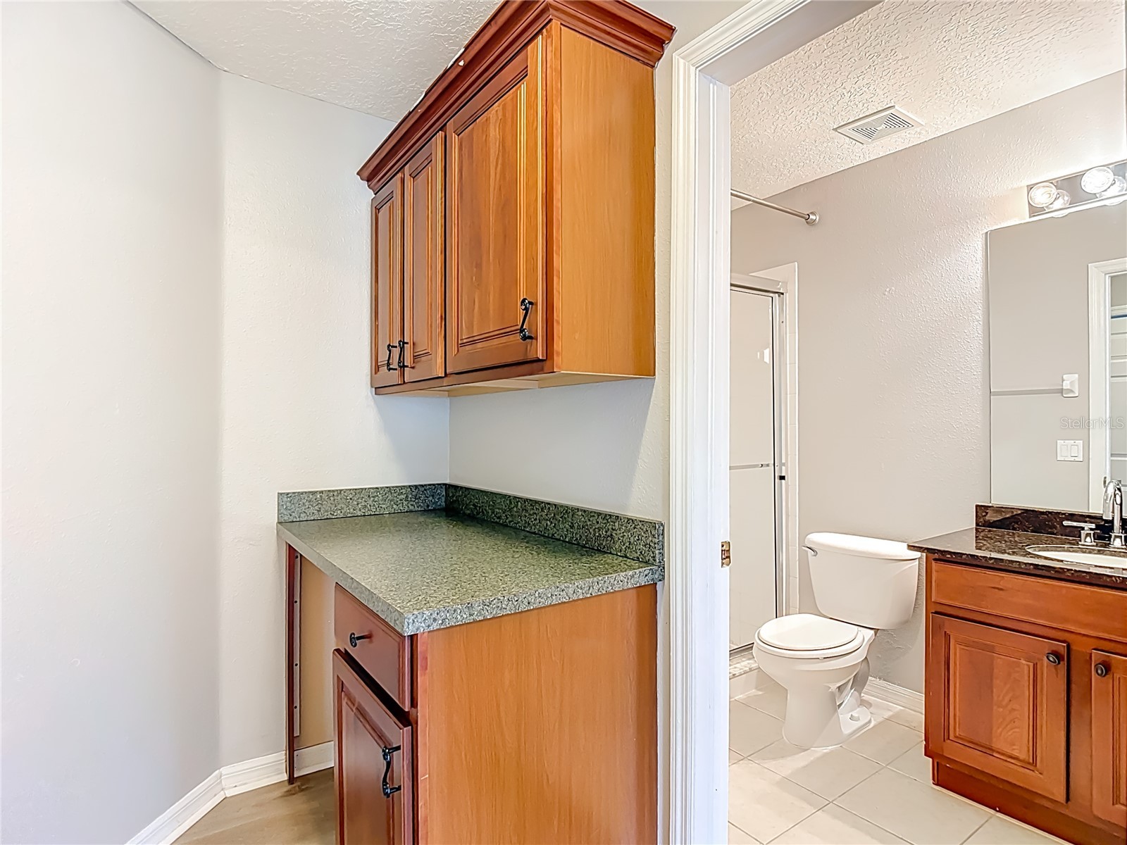 8521 Bramwell Way Tampa FL 33647 TB8460834 image70