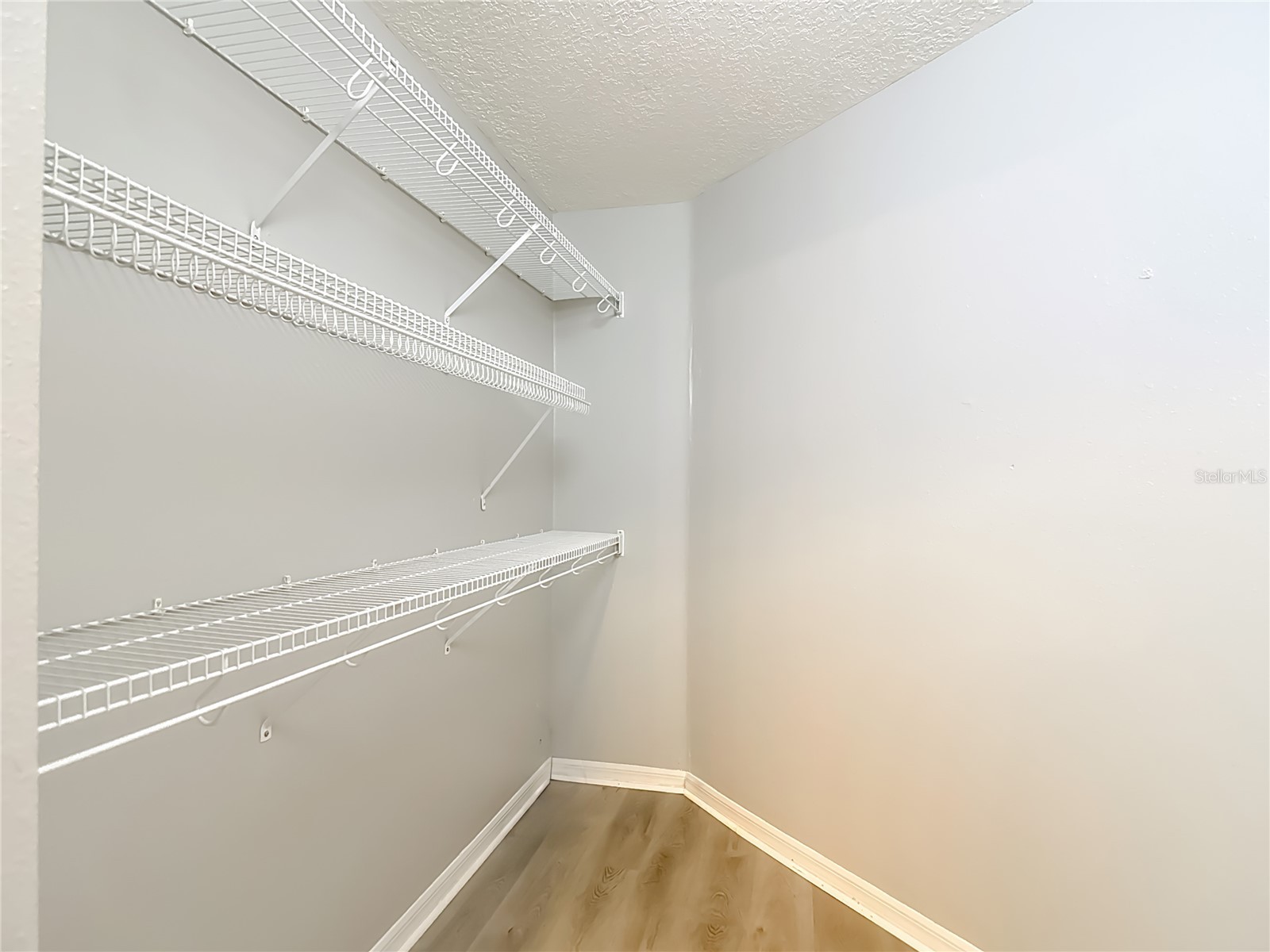 8521 Bramwell Way Tampa FL 33647 TB8460834 image72