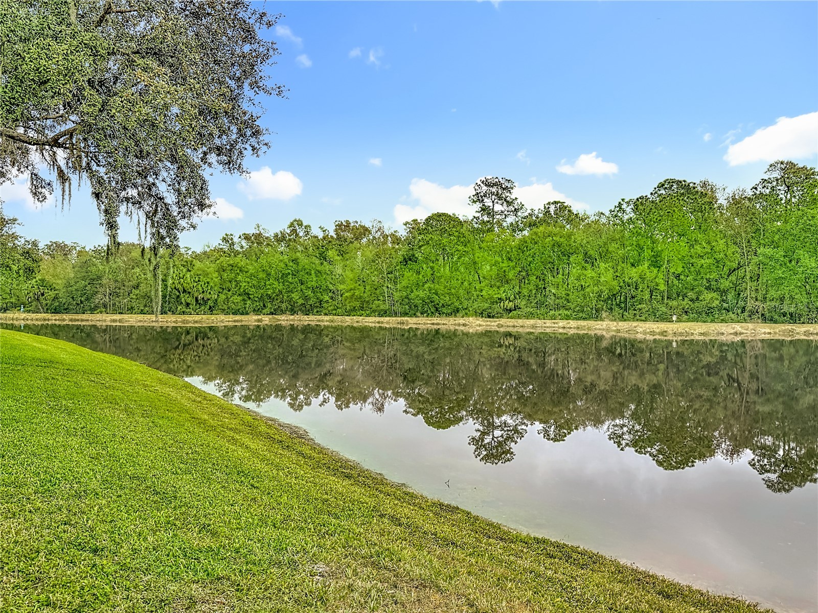 8521 Bramwell Way Tampa FL 33647 TB8460834 image86