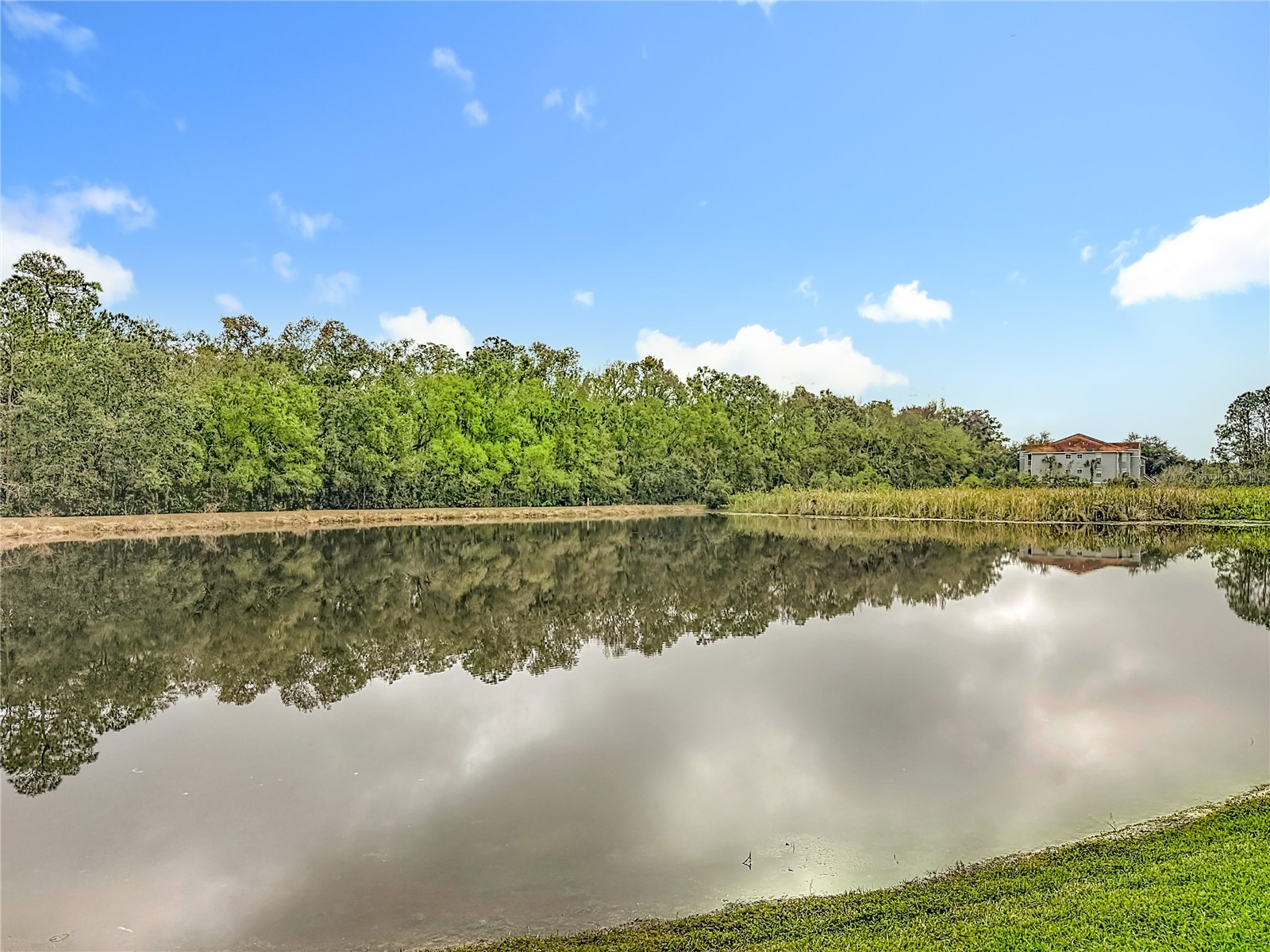 8521 Bramwell Way Tampa FL 33647 TB8460834 image87