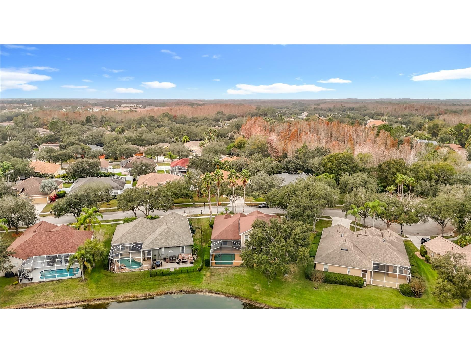 8521 Bramwell Way Tampa FL 33647 TB8460834 image90