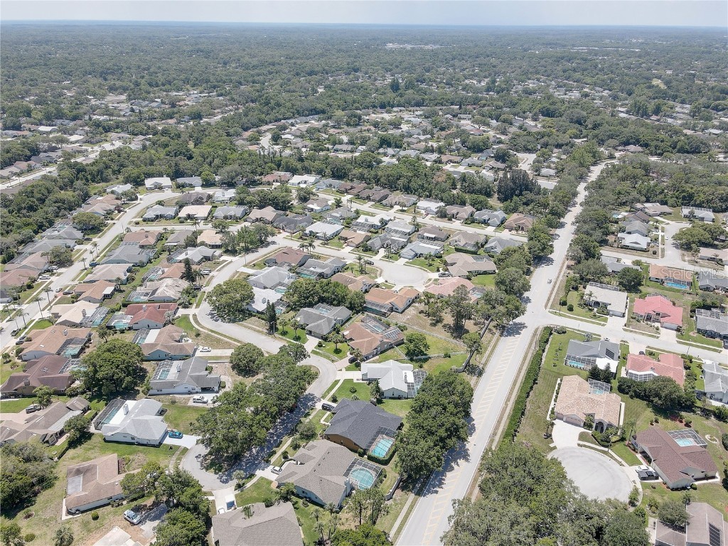 8521 Caitlin Court Hudson FL 34667 TB8390206 image59