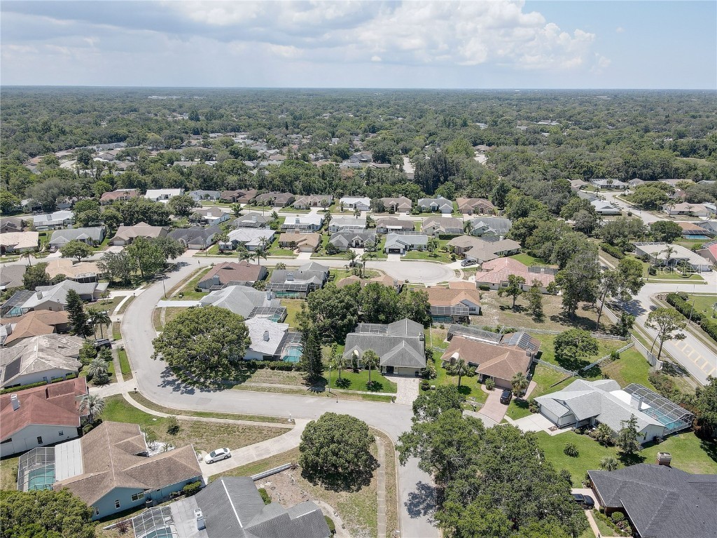 8521 Caitlin Court Hudson FL 34667 TB8390206 image63