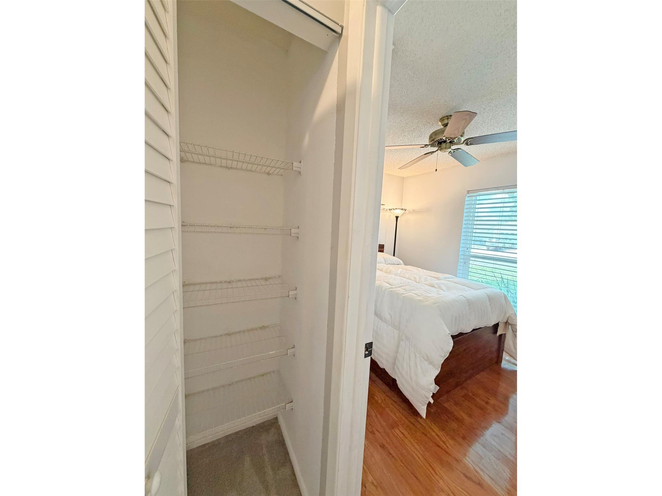 8521 Misty River Court Tampa FL 33637 TB8515968 image19