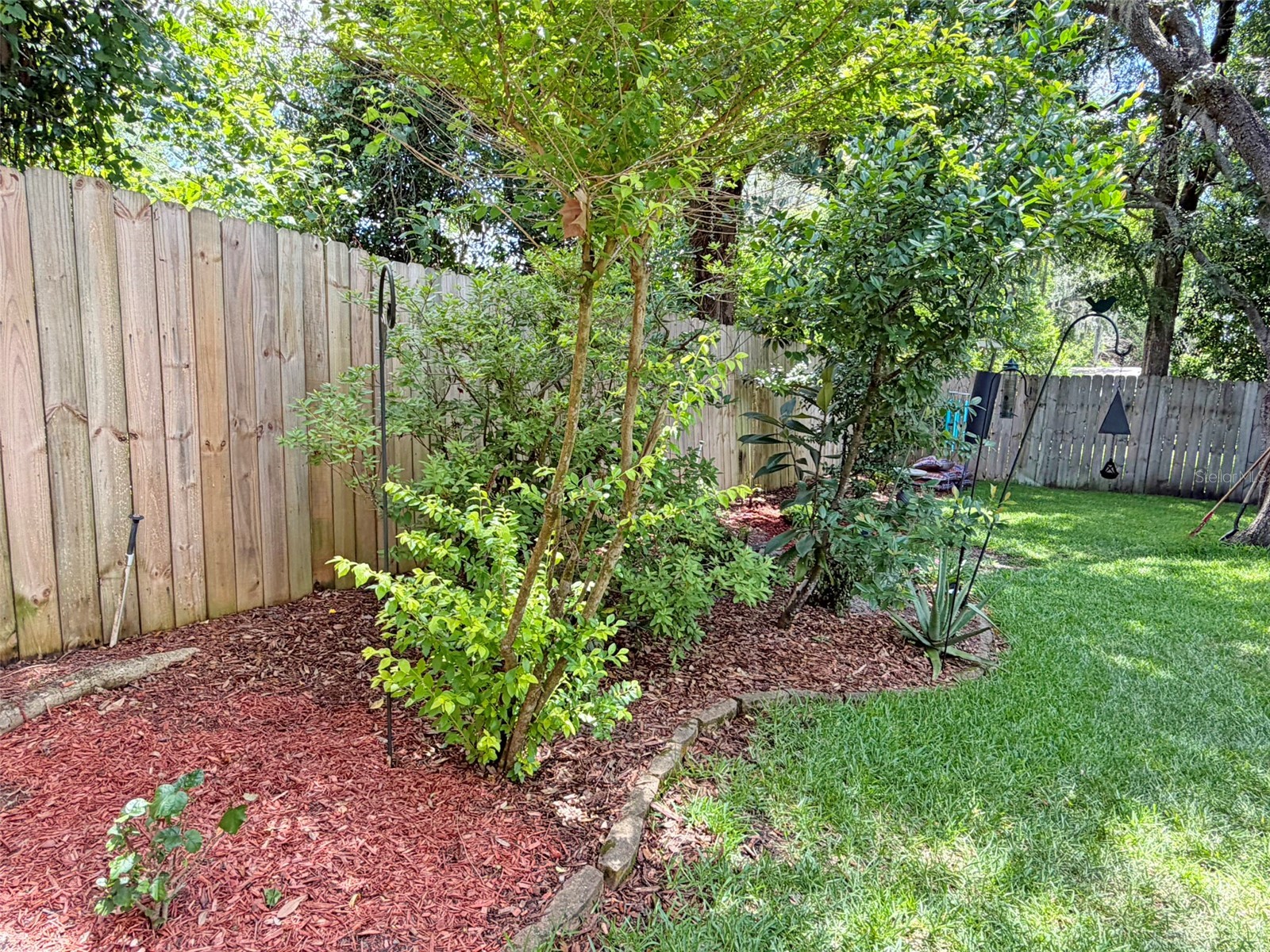 8521 Misty River Court Tampa FL 33637 TB8515968 image28