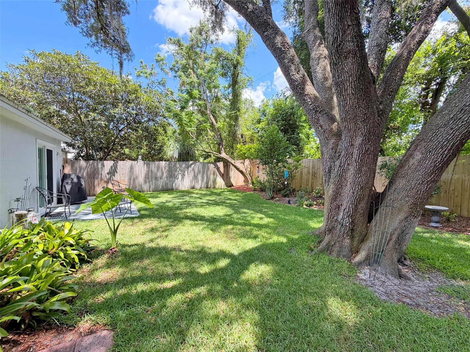 8521 Misty River Court Tampa FL 33637 TB8515968 image3