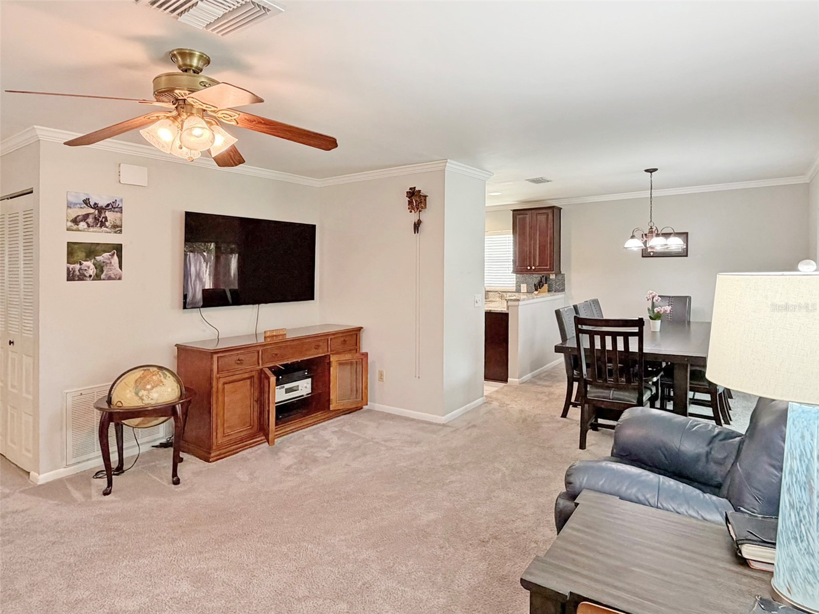 8521 Misty River Court Tampa FL 33637 TB8515968 image7