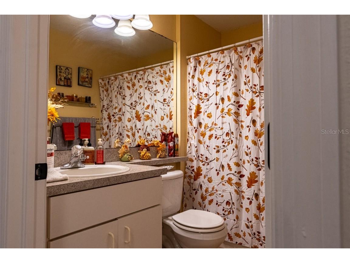 8521 Quarter Horse Drive Riverview FL 33578 TB8447693 image12