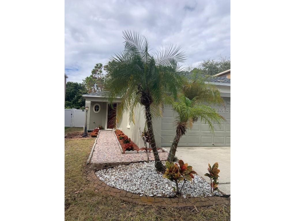 8521 Quarter Horse Drive Riverview FL 33578 TB8447693 image2