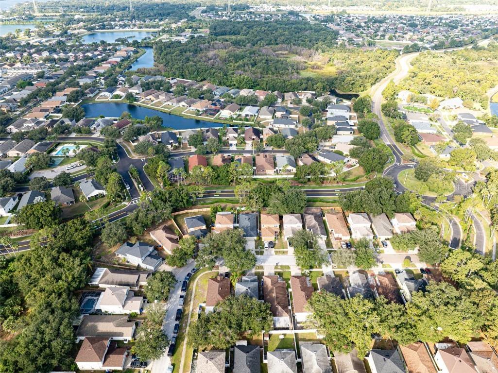 8521 Quarter Horse Drive Riverview FL 33578 TB8447693 image40