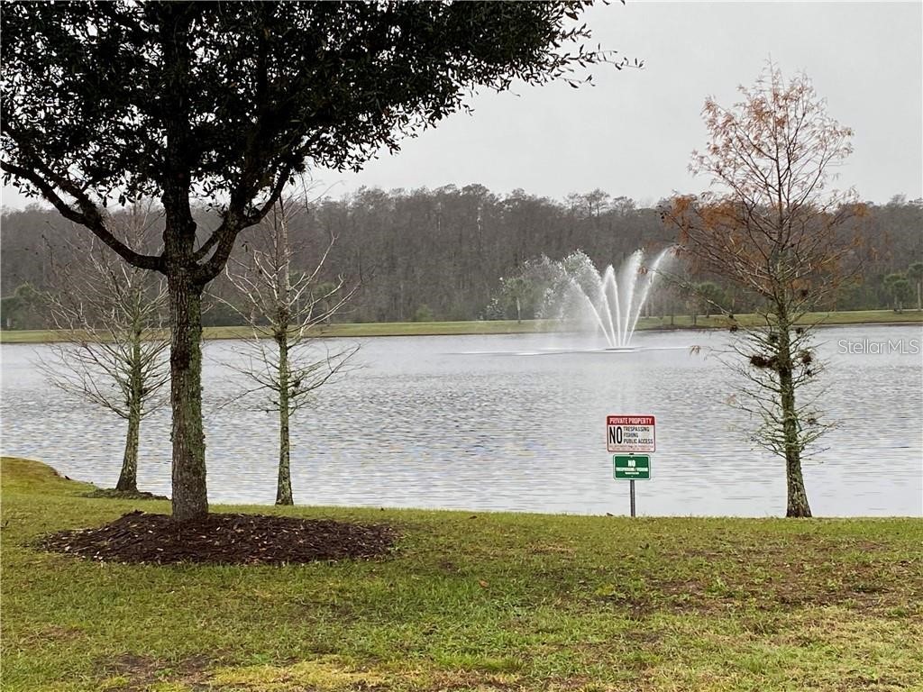 8521 Vedder Lane Orlando FL 32832 O6290819 image11