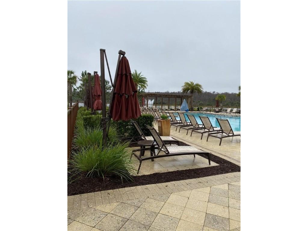 8521 Vedder Lane Orlando FL 32832 O6290819 image8