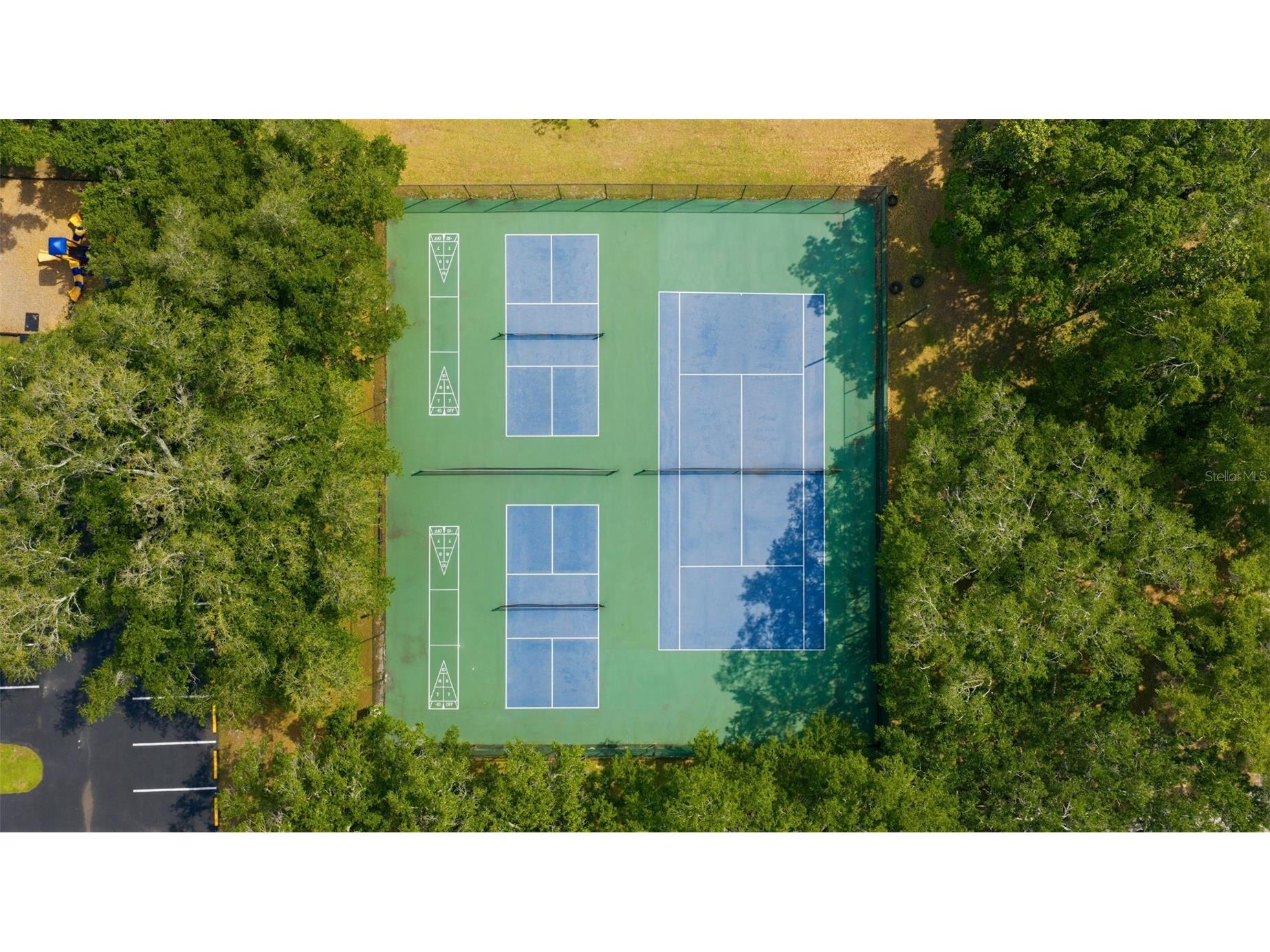 8522 Caladesi Island Drive Temple Terrace FL 33637 TB8496726 image25