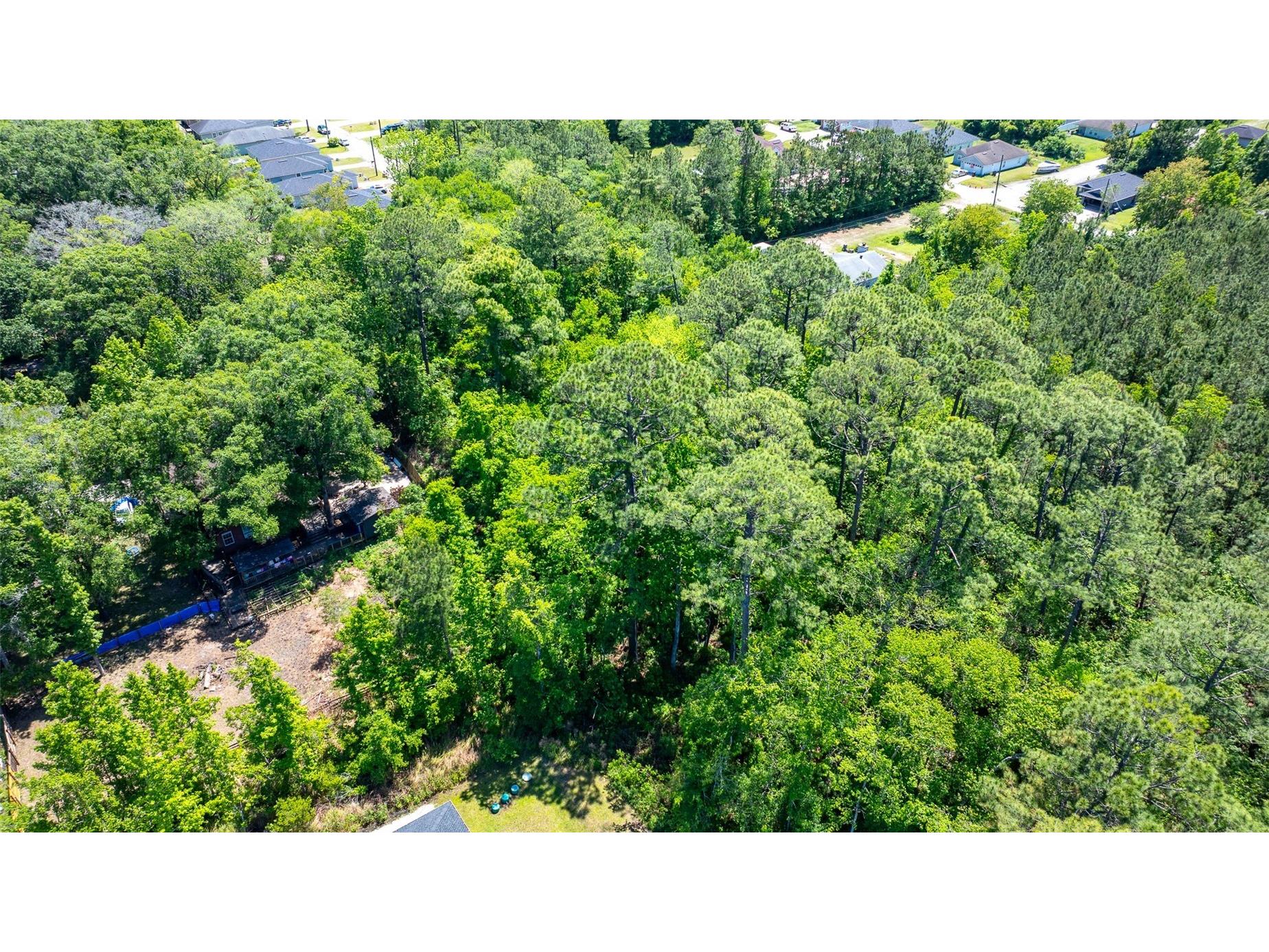 8523 Hewitt Street Jacksonville FL 32244 FC318481 image7