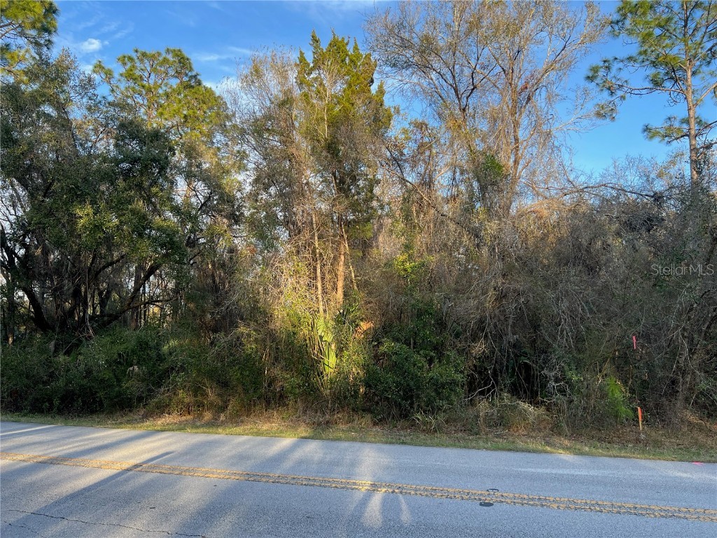 8523 N Basswood Avenue Crystal River FL 34428 TB8353421 image3