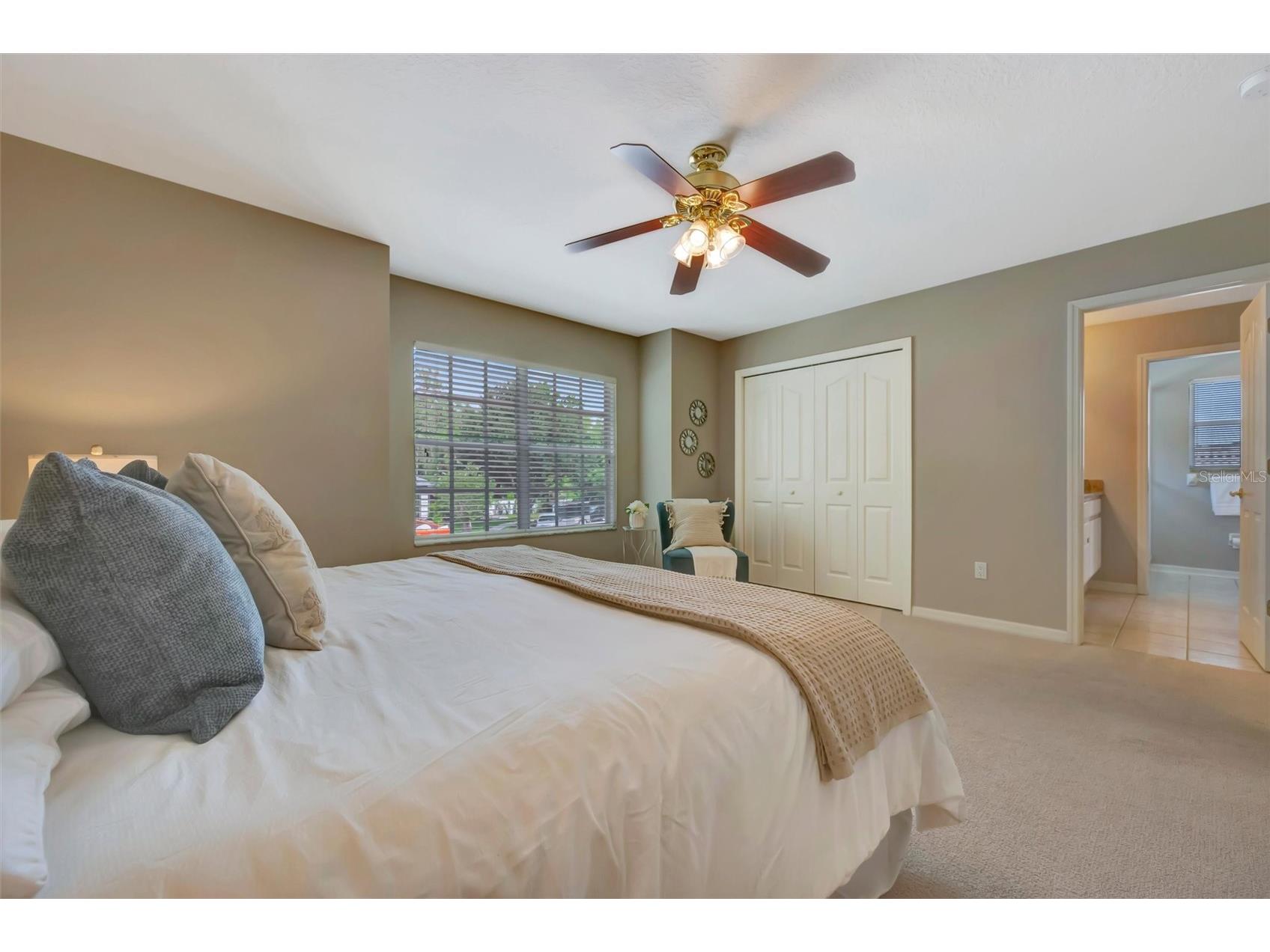8523 Portage Avenue Tampa FL 33647 TB8523680 image48