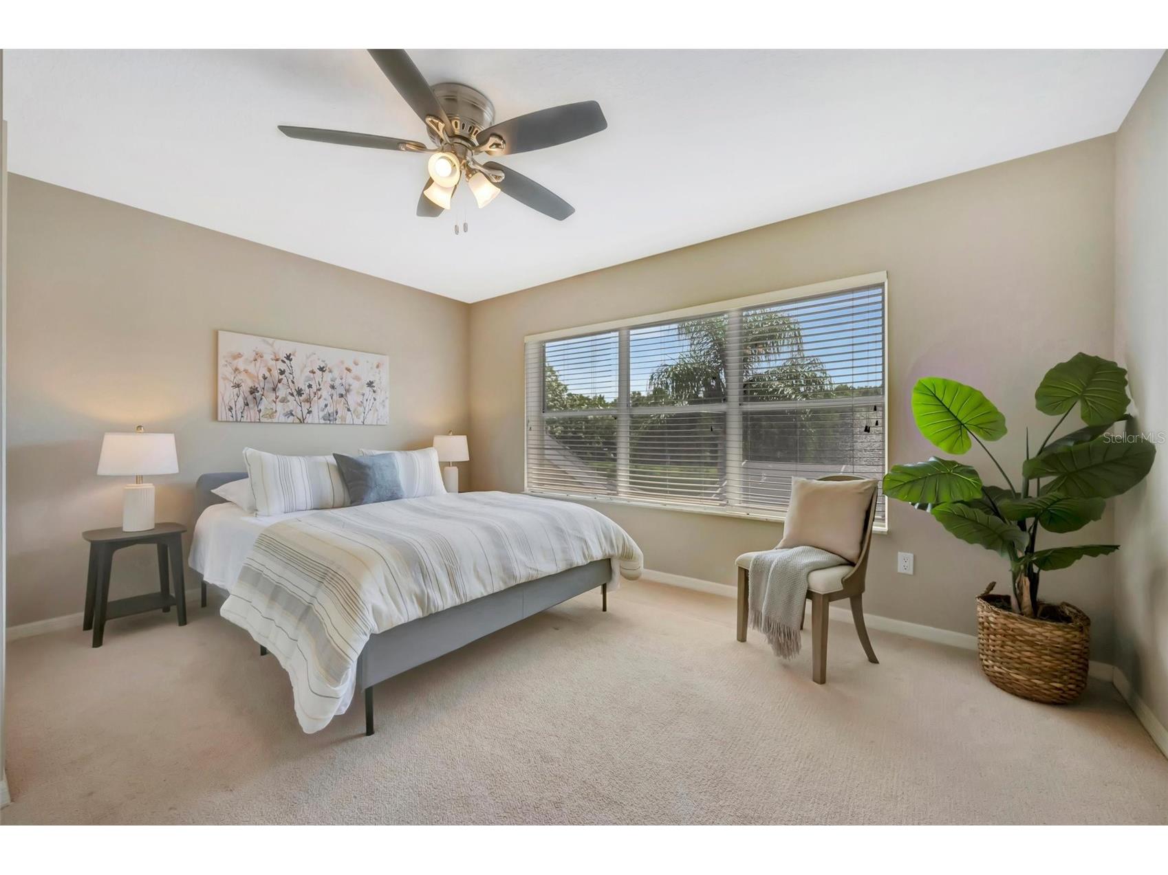 8523 Portage Avenue Tampa FL 33647 TB8523680 image53