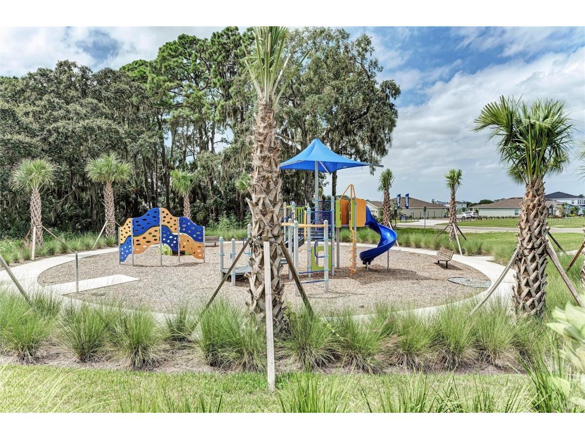 8523 Rain Lily Crossing Parrish FL 34219 A4668677 image58