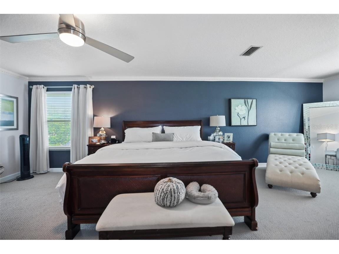 8524 Tidal Bay Lane Tampa FL 33635 TB8456450 image26