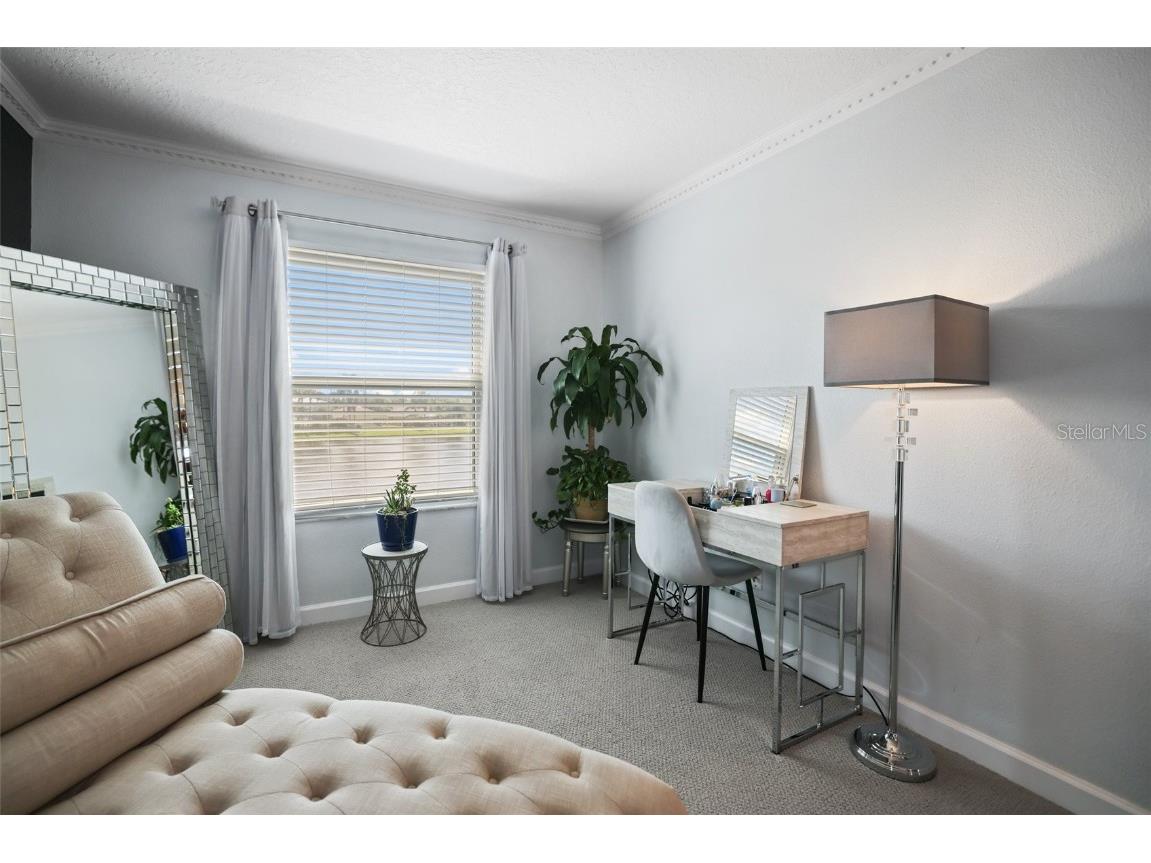 8524 Tidal Bay Lane Tampa FL 33635 TB8456450 image29