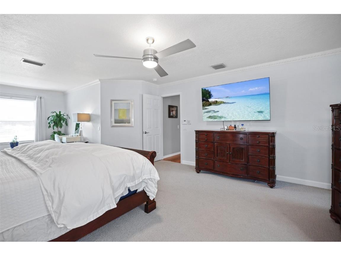 8524 Tidal Bay Lane Tampa FL 33635 TB8456450 image45