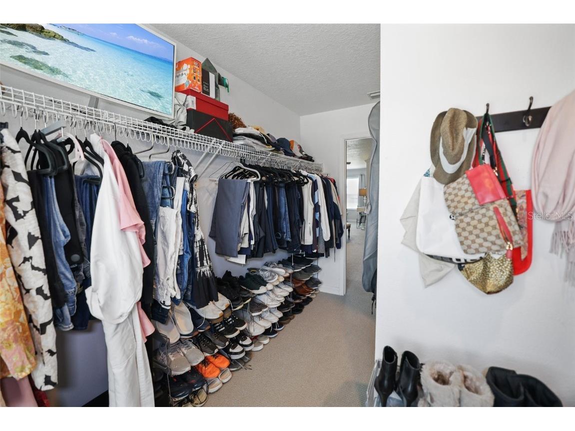 8524 Tidal Bay Lane Tampa FL 33635 TB8456450 image47