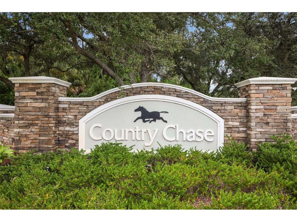 8524 Tidal Bay Lane Tampa FL 33635 TB8456450 image68