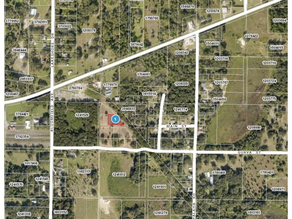 8525 Guava Street Yalaha FL 34797 J970913 image1